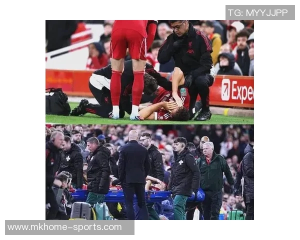 友谊赛精彩回顾：利物浦逆转里昂红牌争议引发全场热议